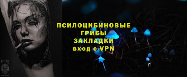 мдпв Бронницы