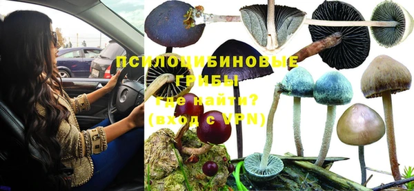 мдпв Бронницы