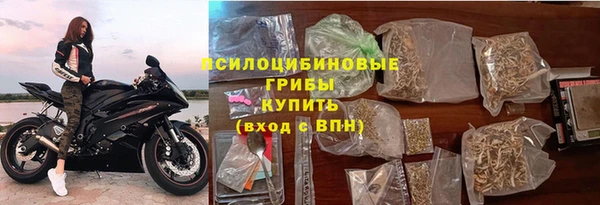 мдпв Бронницы