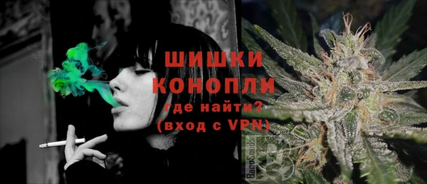 СК Бородино