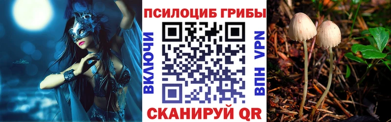купить наркотик  Нытва  Галлюциногенные грибы прущие грибы 